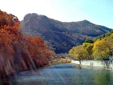 新澳天天开奖资料大全旅游团，黑枪小说